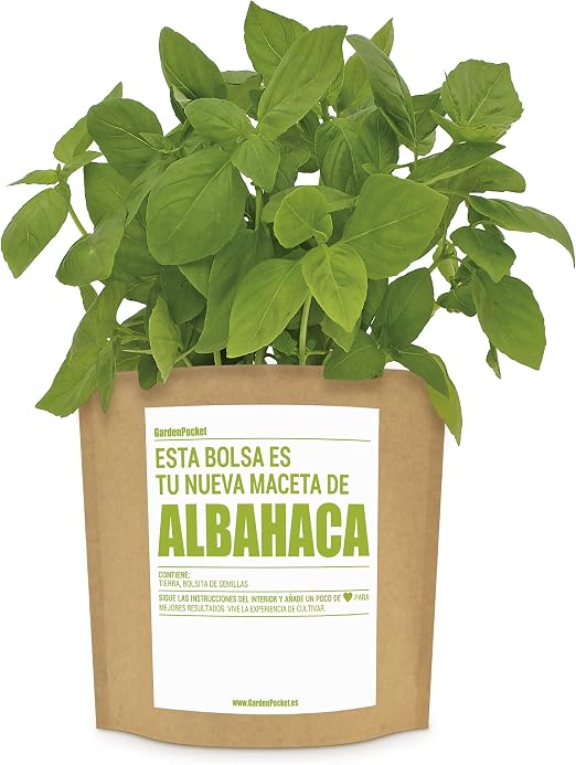 Garden Pocket - Kit de Cultivo de ALBAHACA - Bolsa Maceta: Amazon ...