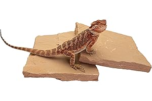 CAROLINACUSTOMCAGES Natural Habitat Rocks, Painted Desert (Medium Size Pair)