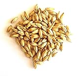RAHR 6-Row Malted Barley 2 LBS CRUSHED Home Brewing Beer Making Recipe Ingredients Vacuum Sealed 1 Gallon Small Batch