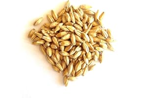 ESKS RAHR RAHR 6-Row Malted Barley 2 LBS CRUSHED Home Brewing Beer Making Recipe Ingredients Vacuum Sealed 1 Gallon Small Batch