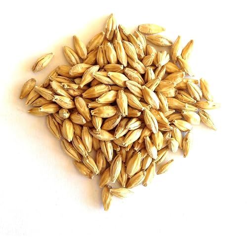 6 Rowed Barley RAHR 6-Row Malted Barley 2 LBS CRUSHED Home Brewing Beer Making Recipe ...
