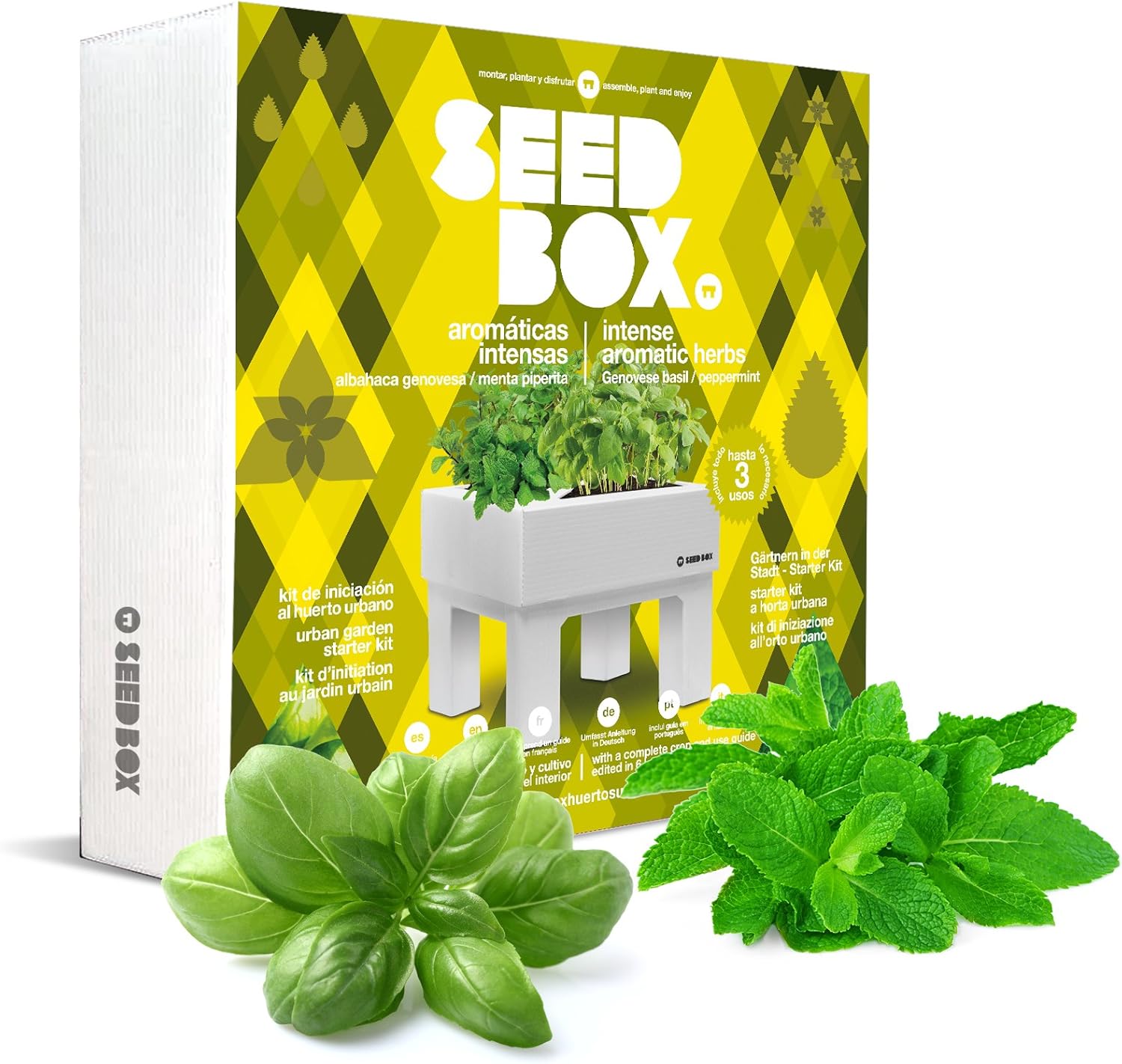 SeedBox SBCOAI - Huerto Urbano de albahaca y Menta (Colección ...