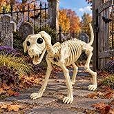 Dog skeleton Halloween Decorations, Large 20.5-Inch Realistic Skeleton Dog | Beagle-Inspired Dog Skeleton with Movable Head, Jaw & Tail for Outdoor Halloween Decorations, Yard, Graveyard & Haunted House