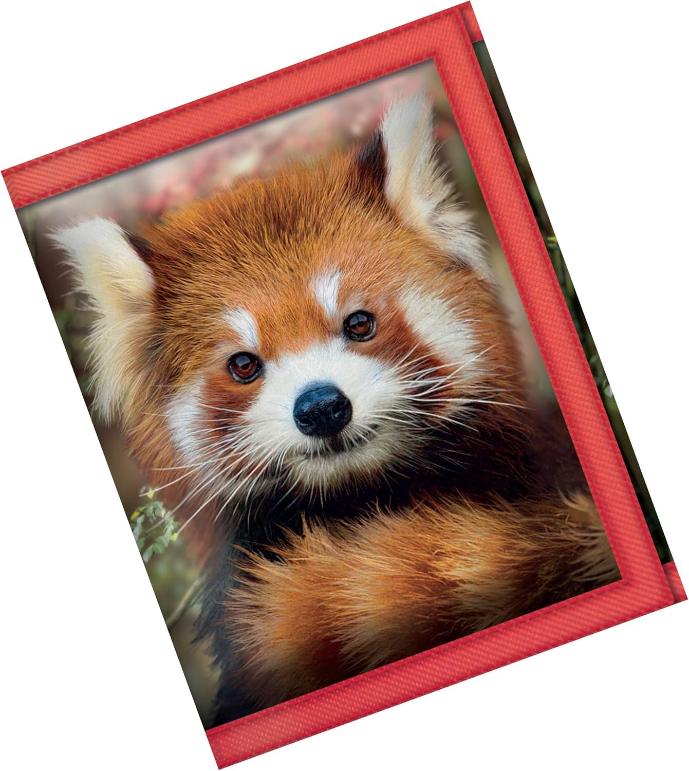 3D LiveLife Wallets, Baby Red Panda from Deluxebase. Cool Lenticular Jungle Trifold Wallet with Zipper, Coin Pocket