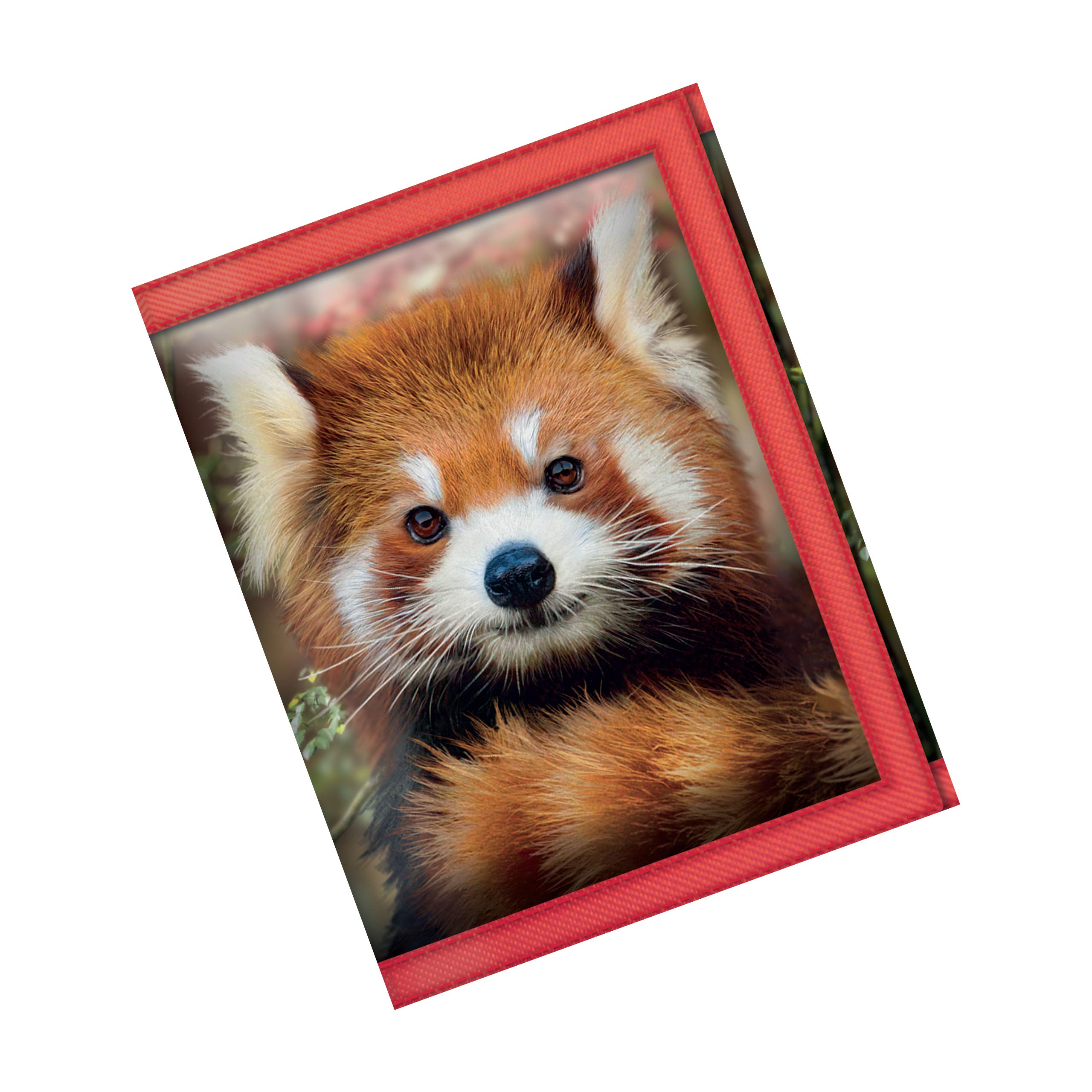 3D LiveLife Wallets - Baby Red Panda from Deluxebase. Cool Lenticular Jungle Trifold Wallet with Zipper, Coin Pocket, Keyring and Card Holder. Animal Themed Small Gifts for Men and Women.