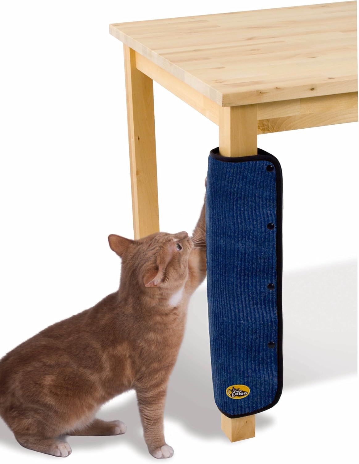 table leg cat scratcher
