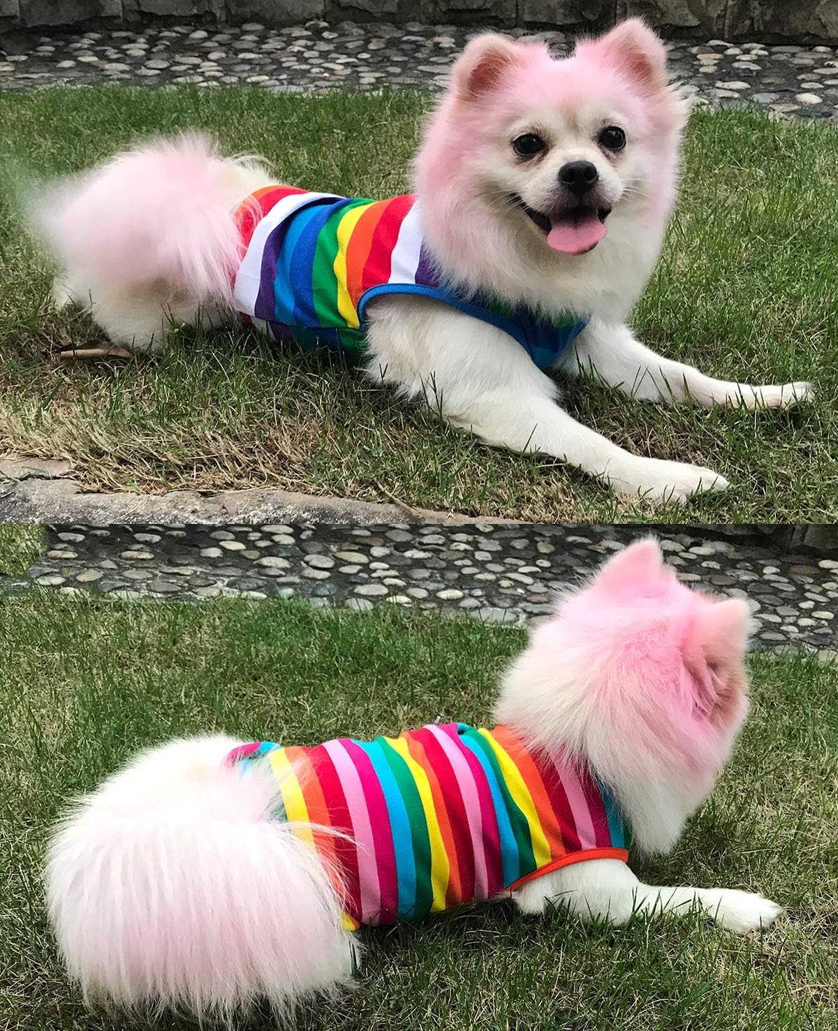 dog clothes for large dogs on Uvoguepaw Dog Shirts Rainbow Striped Clothes For Small Medium Large Dogs Dogs Kolenik Apparel Accessories