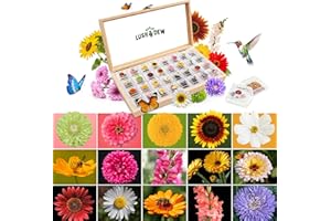 LUSH&DEWㅤ LUSH&DEW Cut Flower Seed Bank, Gift for Women Men, 32 Types Non-GMO Annual & Perennial Wildflower Seeds for Planting in Raised Garden Bed Greenhouse, Seed Storage Organizer, Zinnia Sunflower Zone 3-10