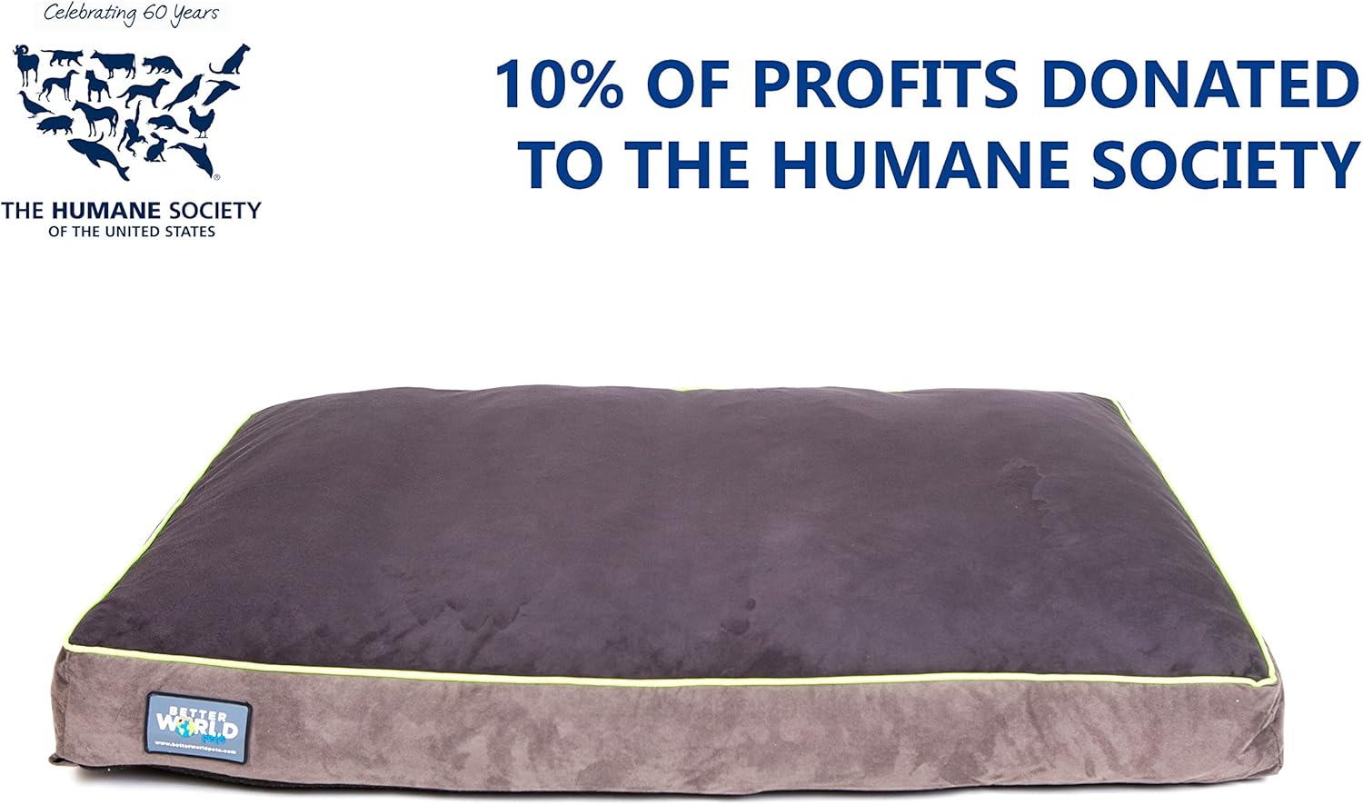 Orthopedic Dog Bed | Pure Premium Shredded Memory Foam Ideal for Aging Dogs | Waterproof Removable Washable Cover (XL (46"x36"x5")(80-120 lbs), Grey with Ocean Blue Trim) : Pet Supplies