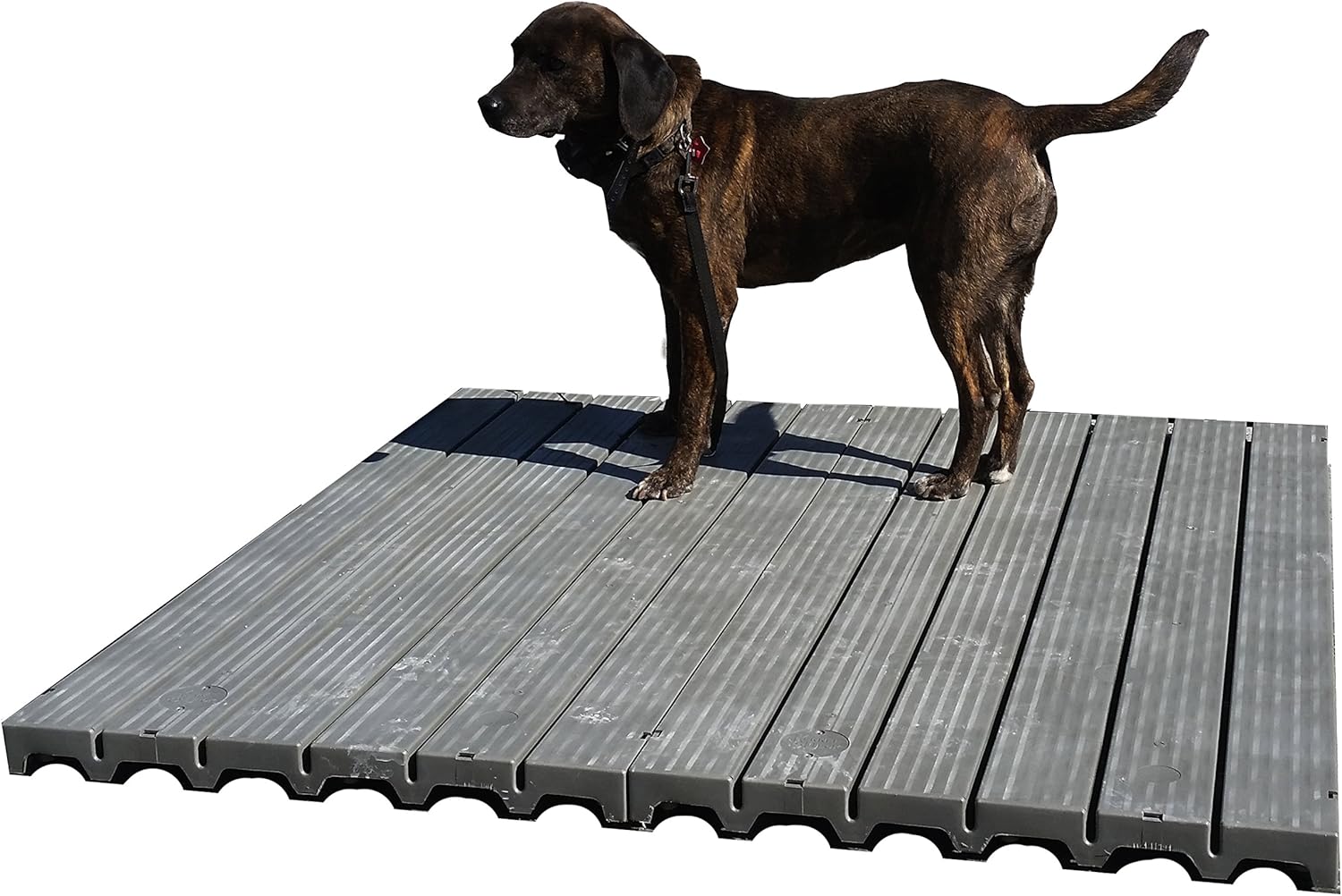 raised dog pen