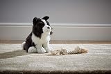Living Nature Border Collie Soft Cuddly Toy Eco-Friendly 20cm view 2