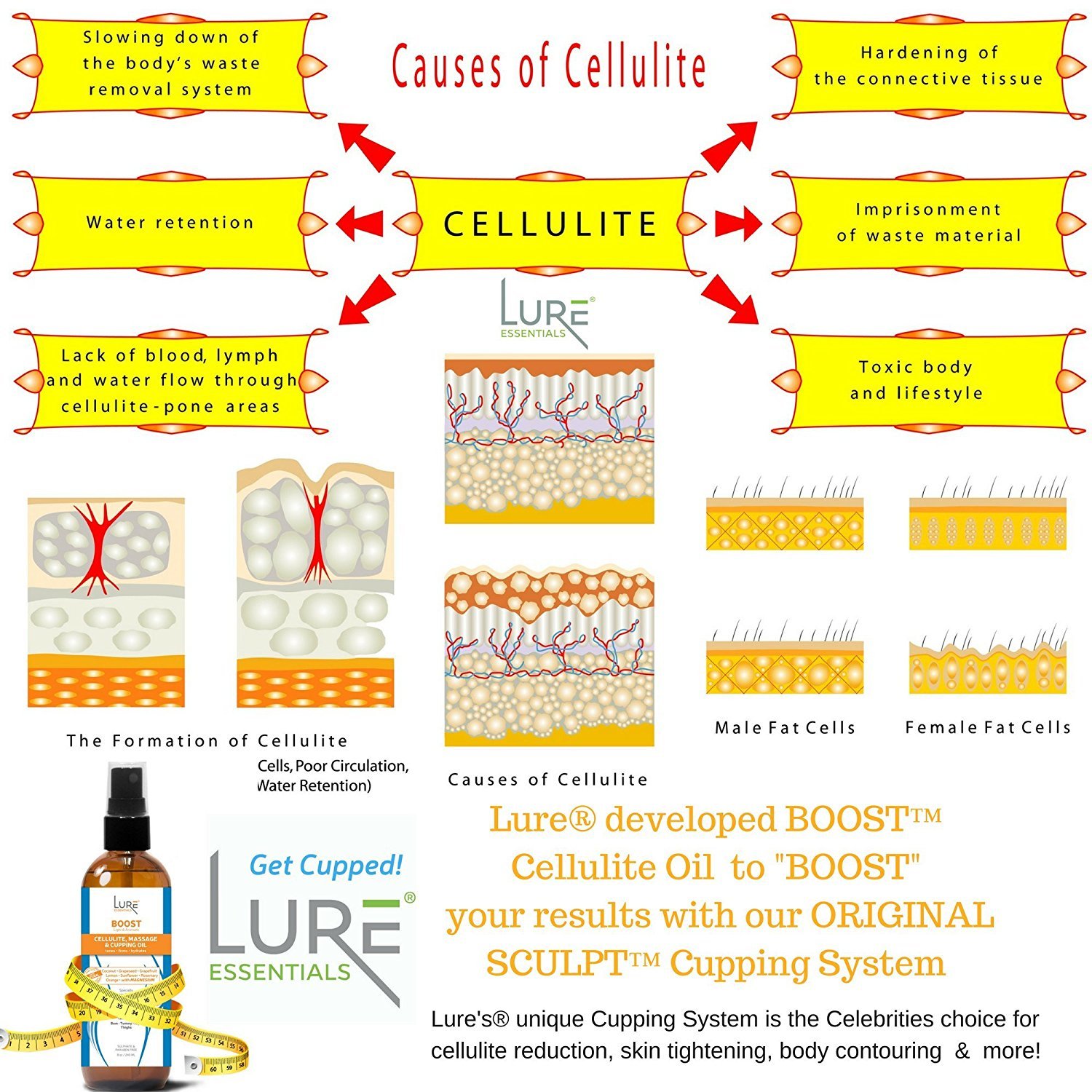 Bliss Face and Body Cupping Therapy Set – Includes Facial Cups for Cupping and Anti-Cellulite Cups - Release Fascia, Lymphatic Drainage, Natural Pain Relief: Health & Personal Care