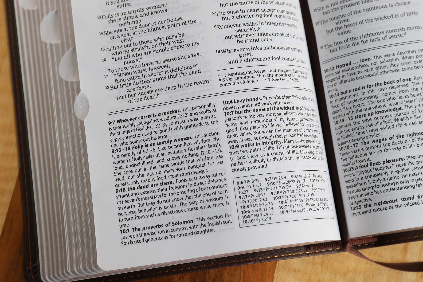 NIV, Foundation Study Bible, Leathersoft, Brown, Red Letter, Thumb Indexed