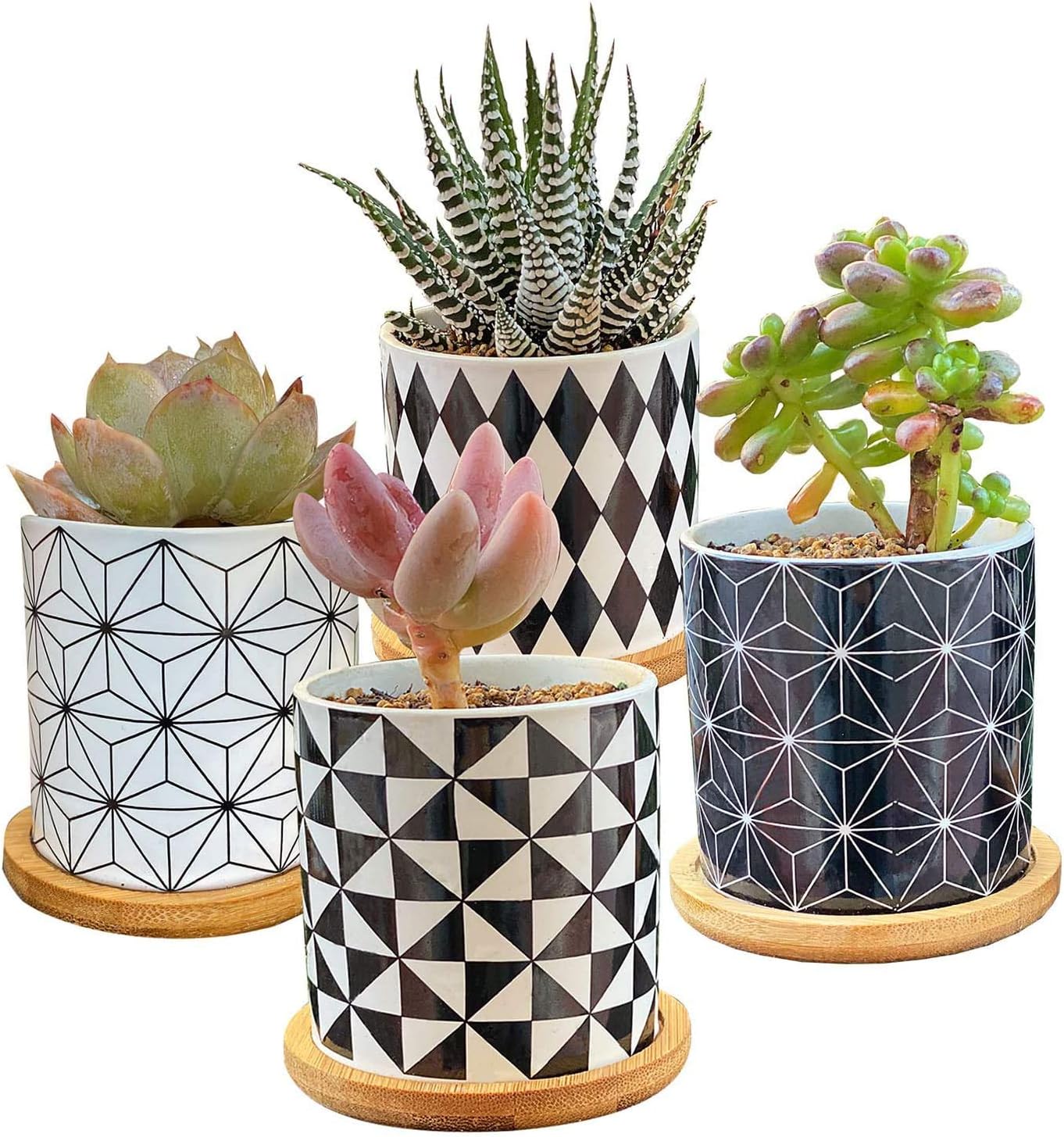 The 15 Best Pots for Succulents of 2023 Best Garden Tips