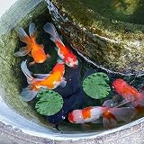 IRYNA 6Pcs Artificial Lily Pads Leaves Floating Foam Lotus Leaves 10cm 17cm view 7