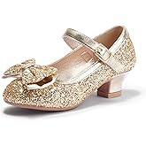 PANDANINJIA Girls Toddler/Little Kid Jada Dress Mary Jane Pumps Bow Low Heels Party Wedding Princess Shoes