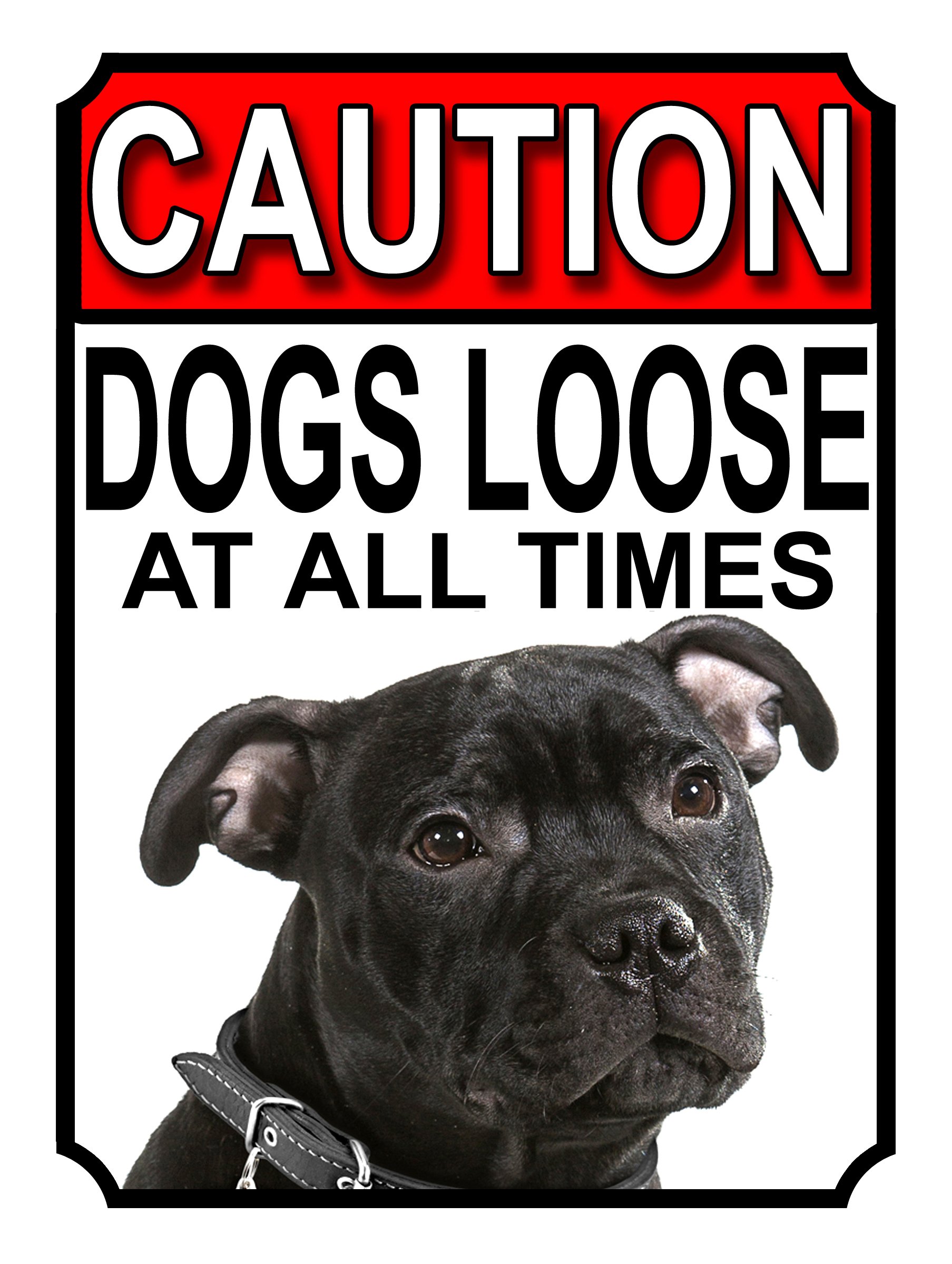 CAUTION DOGS LOOSE AT ALL TIMES METAL GATE SIGN AMERICAN STAFFORDSHIRE 200MM X 150MM (1172H1) โ image 1