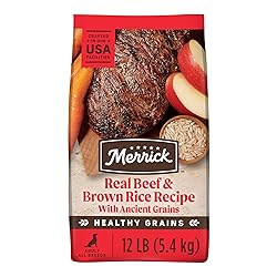 Merrick Healthy Grains Premium Adult Dry Dog