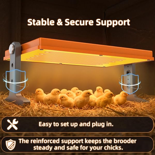 CHICK BROODER HEATER PLATE – 12″ X 8″ ADJUSTABLE HEIGHT & TEMPERATURE POULTRY WARMER FOR UP TO 10 CHICKS, BROODER HEATING PLATE FOR CHICKS AND DUCKLINGS, ORANGE