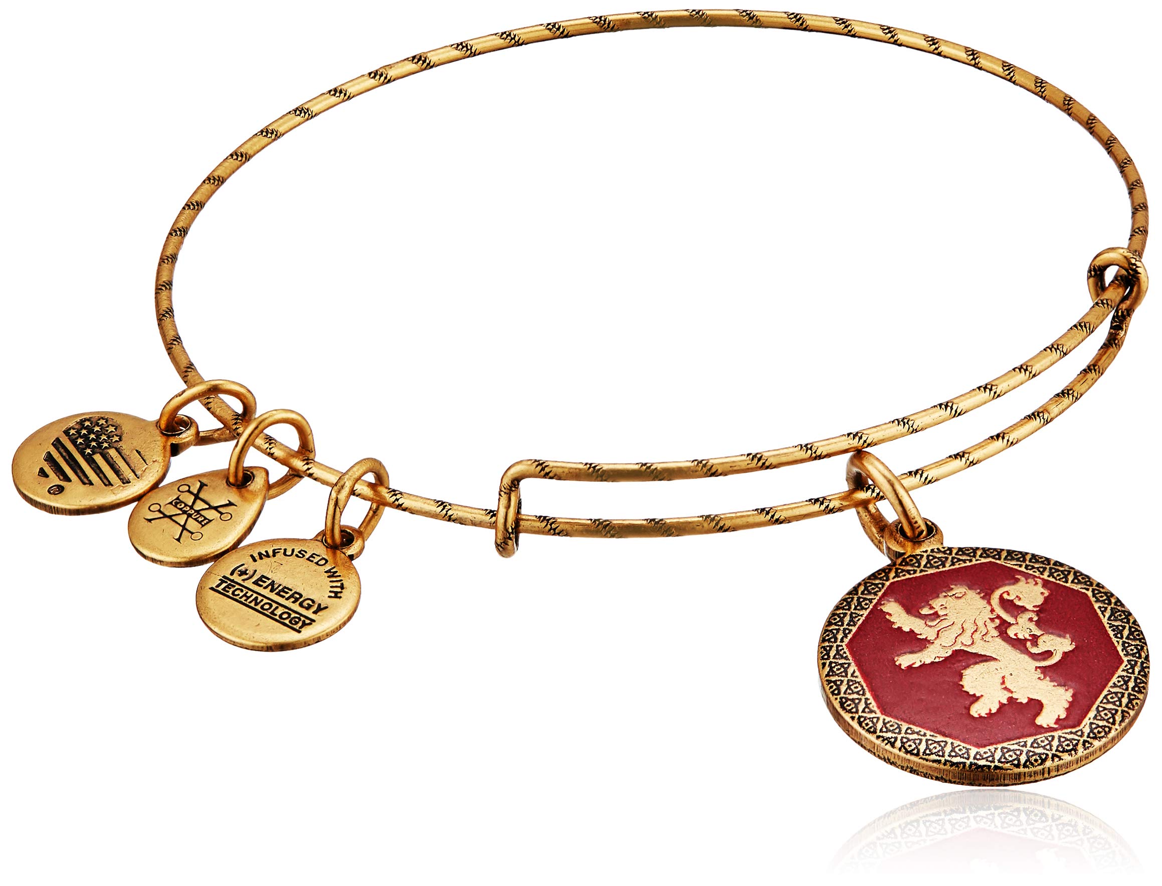 Alex y ANI Juego de Tronos Hear Me Roar Charm Brazalete