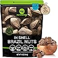 NUT CRAVINGS - Raw Brazil Nuts In Shell - Whole, (16oz - 1 LB) Bulk Nuts Packed Fresh in Resealable Bag - Healthy Protein Food Snack, All Natural, Keto, Vegan, Kosher