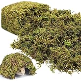 Riare 1.3LBS Artificial Fake Moss for Fake Plants Indoor- Premium Faux Craft Moss for Potted Plant, Fresh Forest Green for Ha