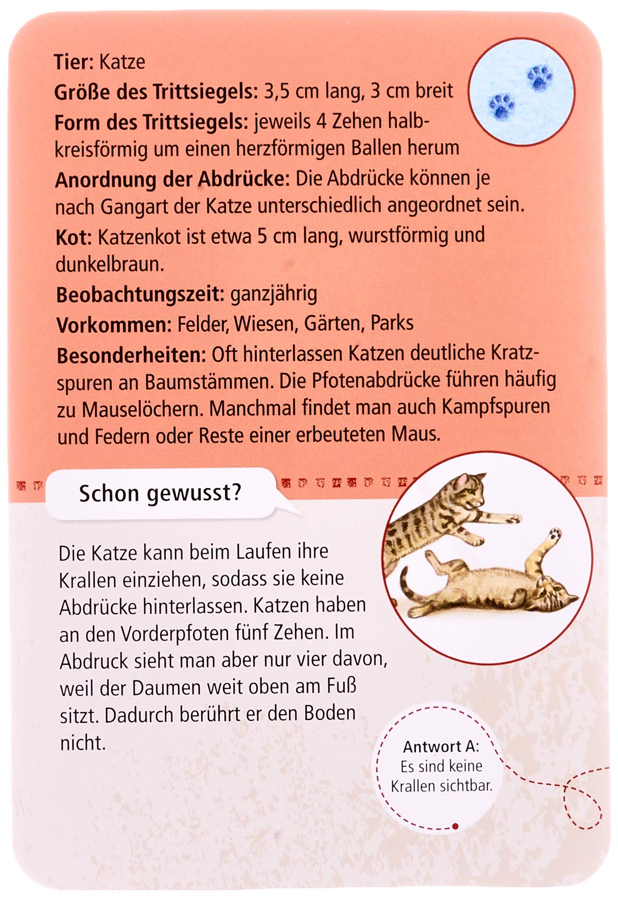 Expedition Natur 50 Tierspuren Entdecken Zuordnen Kessel Carola Von Trager Nina 4033477097248 Amazon Com Books