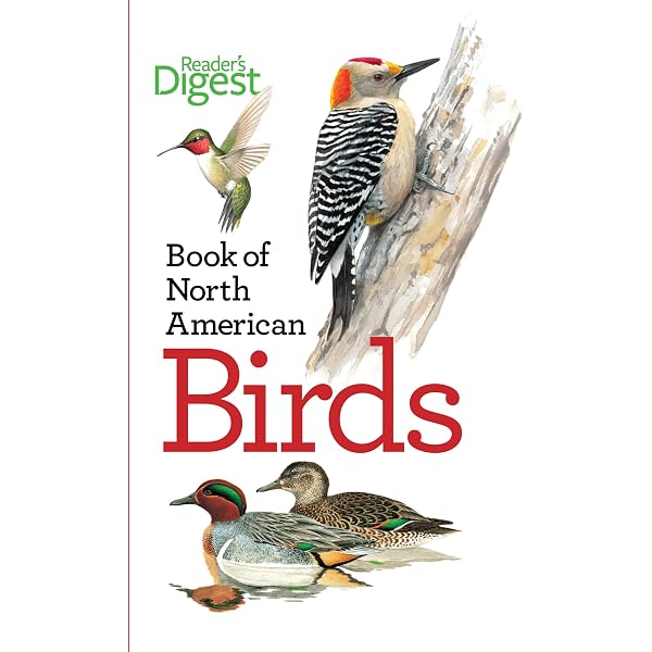 Amazon.com: Jeffrey Whiting's Owls of North America (Whiting's