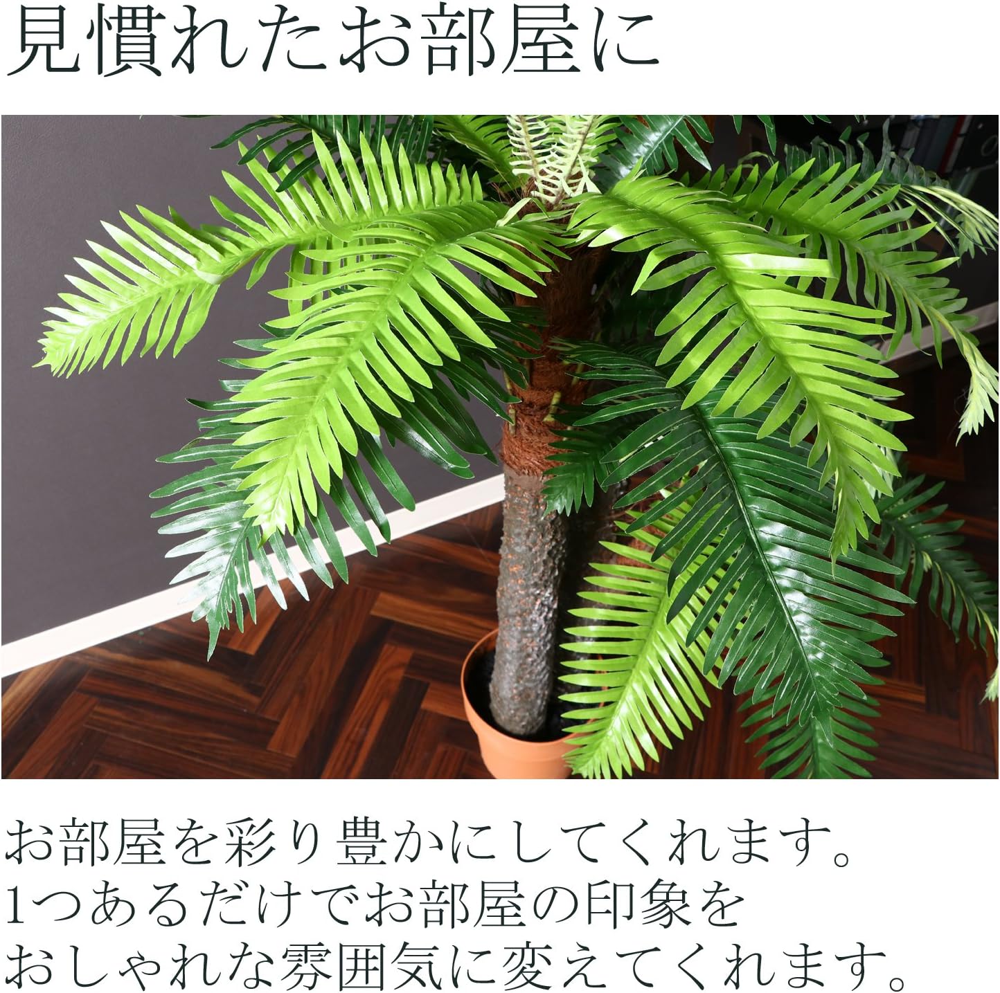 Amazon 不二貿易 観葉植物 シダ 高さ147cm グリーン 観葉植物 オンライン通販