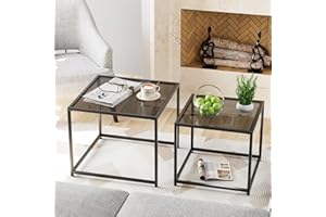VILAWLENCE Coffee Table Set of 2, Modern Grey Glass Side Table, Metal Frame Square End Table, Center Tables, Nesting Coffee Table for Living Room, Bedroom and Small Spaces, 23.6in