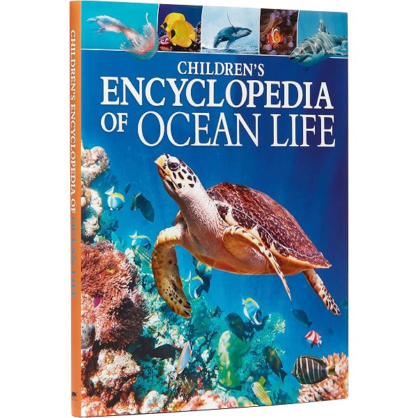 The World (Lonely Planet): AA. VV.: 9781743600658: Amazon.com: Books