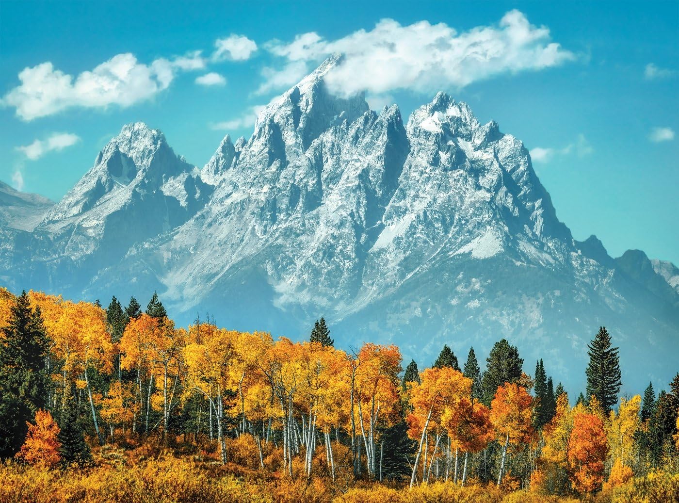 Grand Teton In Fall Jigsaw Puzzle, 500 Pieces, Made in Italy