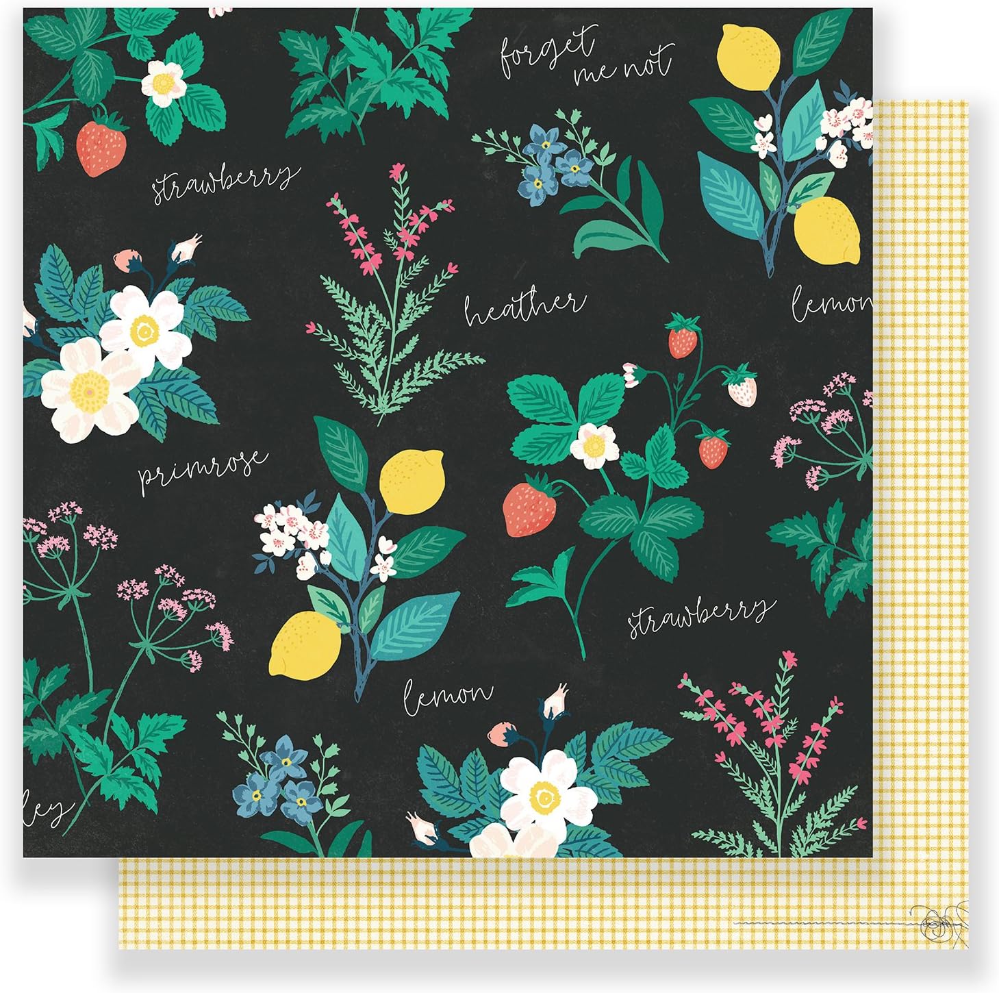 Maggie Holmes 12 x 12 Paper Greenhouse (25 Pack), 12-x-12-Inch
