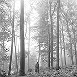 フォークロア(通常盤)