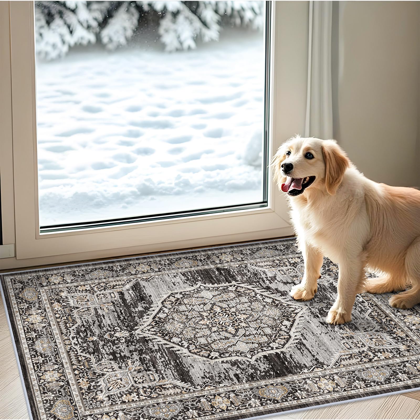 Photo 1 of Washable 2x3 Entry Area Rug: Vintage Entryway Rugs with Non Slip Backing armhouse Water Resistant Floor Mat for Kitchen Living Room Ultra Soft Indoor Small Carpet for Bedroom Bathroom (2x3 Black)