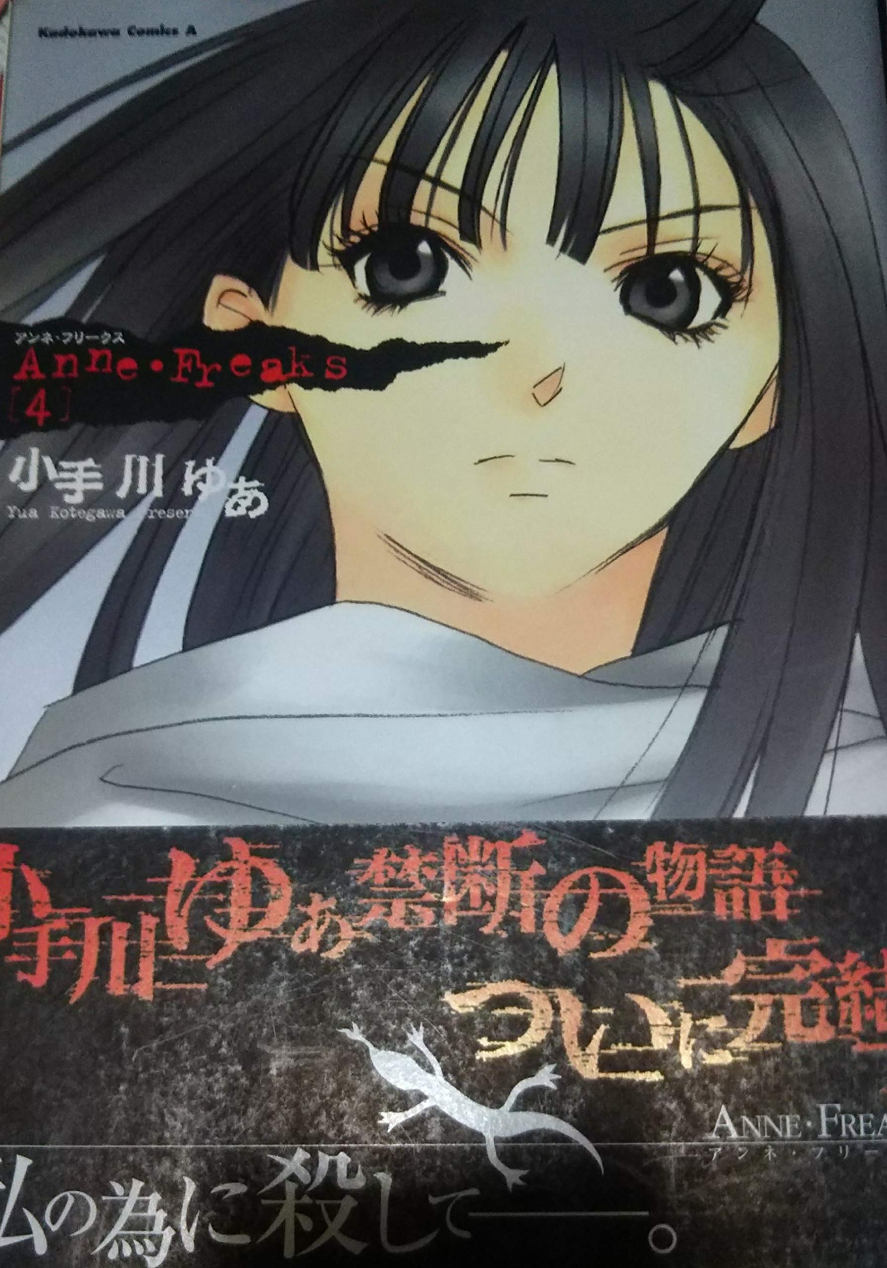 Anne Freaks コミック 全4巻完結セット 角川コミックス エース Amazon Com Books