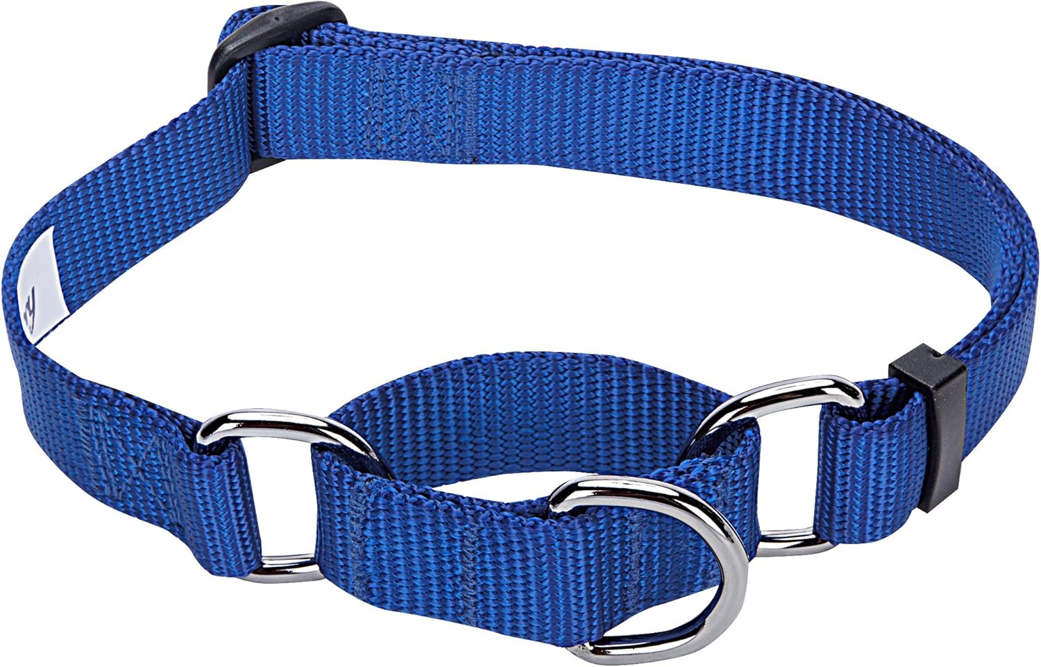 Blueberry Pet Safety Training Martingale Dog Collar, Royal Blue, Large