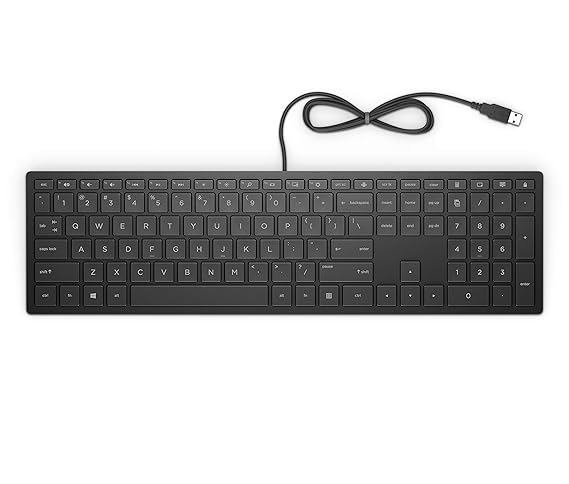HP Pavilion 300 GR Wired Tastatur (flaches Design, Dreizonen-Tastatur) schwarz