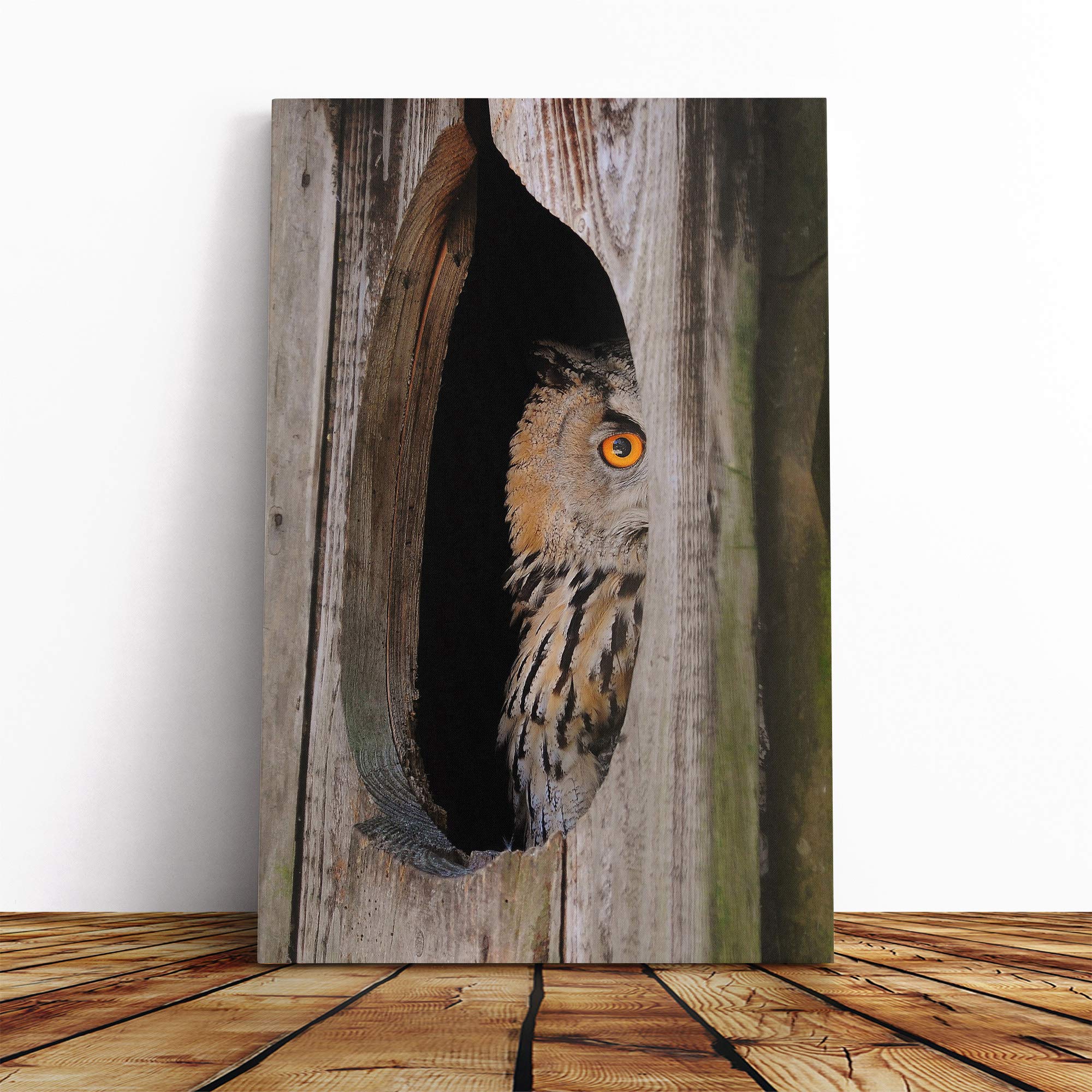 Owl Bird (1) Canvas Print | Gallery Wrapped 30mm Frame Wall Art | 20x14 inches | Ready to Hang | Modern Animals Picture | Living Room Bedroom Lounge Office