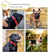 HEELE Reflective Dog Collar Soft Neoprene Padded Adjustable S Red 26-38cm view 4