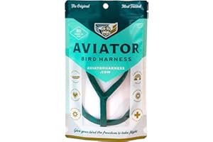 The AVIATOR Pet Bird Harness and Leash: Petite Green
