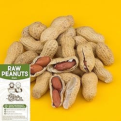 THE AMISH ECO-FARM | Fancy Size | Bulk Raw Peanuts