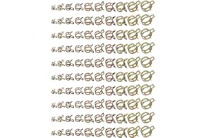 AuInn 100 PCS 6-22MM 10 Sizes Spring Hose Clamp Kit Fuel Line Spring Clamp Hose Pipe Clamp Fasteners (6mm 8mm 10mm 12mm 14mm 15mm 16mm 18mm 20mm 22mm)