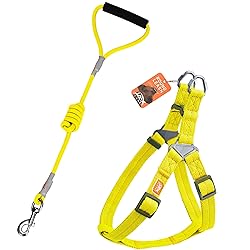 Jax Planet Dog Harness and Leash - Comfortable