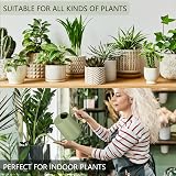 GUKJOB Watering Can Indoor Plants 35oz Stainless Steel Long Spout Sage view 4
