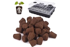 LAPOND 40 Pcs Grow Sponges with Tray, Starter Plugs for Cuttings, Great for Soil, Tray or Planting Pods Plant Rooter, Promotes Herbs, Vegetables and Flowers Growth