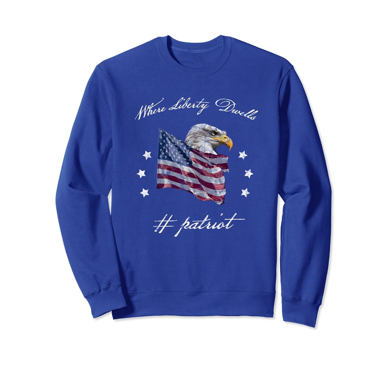 Alt Right Patriotic American Flag Sweatshirt-anz