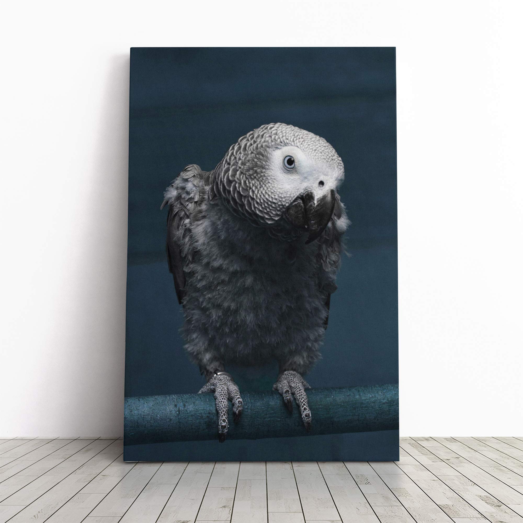 African Grey Parrot Canvas Print | Gallery Wrapped 30mm Frame Wall Art | 20x14 inches | Ready to Hang | Modern Animals Picture | Living Room Bedroom Lounge Office