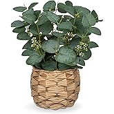 DILATATA Artificial Eucalyptus Stems in Woven Basket Planter, 11" Fake Plant Eucalyptus Leaves with White Seeds Faux Potted Plant Greenery for Table Centerpiece Office Indoor Home Decor