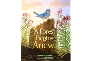 A Forest Begins Anew